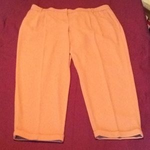 Bar III Ankle Length Pants. Tan.